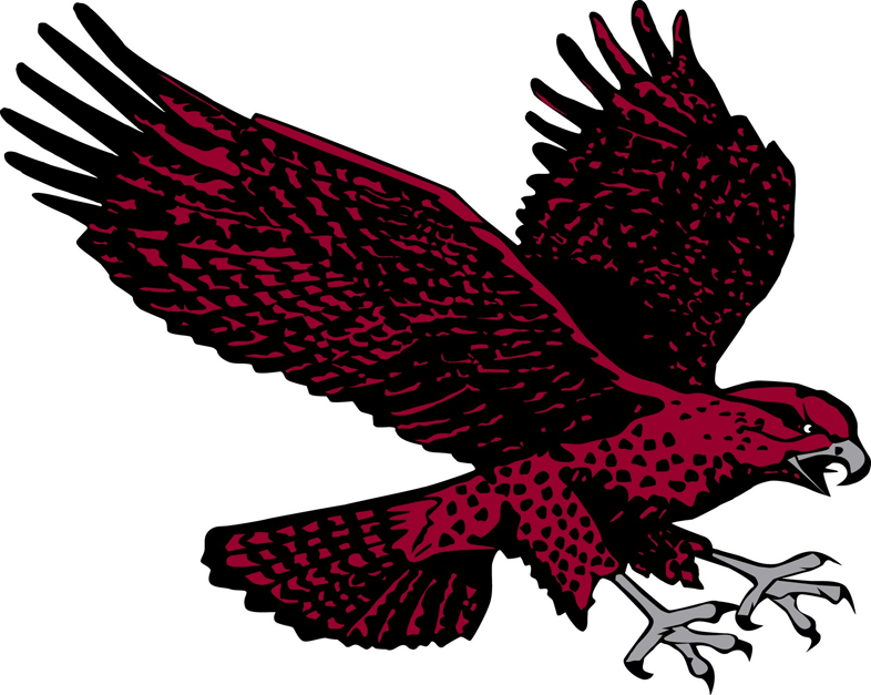 Maryland-Eastern Shore Hawks 2007-Pres Secondary Logo t shirts DIY iron ons